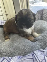 processed/7eca067b-4cdc-43b8-964e-983ae96c9384/listing/0aeccbf6-e594-4040-8ffd-0956d3a65a1c/eb063750-f088-4260-86b7-3fc20aa739cc