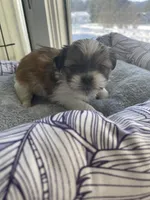 processed/7eca067b-4cdc-43b8-964e-983ae96c9384/listing/2e4c36cf-5f0c-4fb9-b116-53fb37abb0cb/0b728928-2022-4efd-aaf7-f5884d5d4224