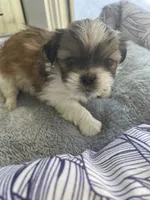 processed/7eca067b-4cdc-43b8-964e-983ae96c9384/listing/2e4c36cf-5f0c-4fb9-b116-53fb37abb0cb/25e97630-a71e-487f-955b-f2b2ce66fc1e