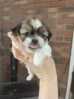 processed/7eca067b-4cdc-43b8-964e-983ae96c9384/listing/2e4c36cf-5f0c-4fb9-b116-53fb37abb0cb/904ffb3a-ba07-41b6-9612-ca107b737e9f