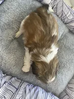 processed/7eca067b-4cdc-43b8-964e-983ae96c9384/listing/2e4c36cf-5f0c-4fb9-b116-53fb37abb0cb/bc403905-e026-4238-af93-1a855f7b36f7