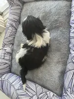 processed/7eca067b-4cdc-43b8-964e-983ae96c9384/listing/4932cdf0-2a45-4a87-9f54-a091af93f84f/7524d330-42d8-45c3-a59c-b226b09e6845