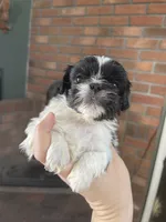 processed/7eca067b-4cdc-43b8-964e-983ae96c9384/listing/4932cdf0-2a45-4a87-9f54-a091af93f84f/995220a5-cb61-4036-bac4-8f6d3c3a91ff