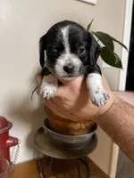 processed/7eca067b-4cdc-43b8-964e-983ae96c9384/listing/abcc32f3-82ab-46c5-98f2-b7bbeae4f1e9/2c37da1f-9f09-4568-a53e-ee94390db85d