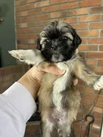 processed/7eca067b-4cdc-43b8-964e-983ae96c9384/listing/b5cab3ef-fb10-4928-a823-35c5243bdb16/56c490b7-e73e-498d-8745-ce2962d892fc