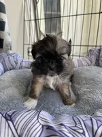 processed/7eca067b-4cdc-43b8-964e-983ae96c9384/listing/b5cab3ef-fb10-4928-a823-35c5243bdb16/8f197c4a-e52b-4dfe-9660-8cbea60b5f9e