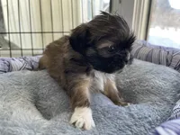 processed/7eca067b-4cdc-43b8-964e-983ae96c9384/listing/b5cab3ef-fb10-4928-a823-35c5243bdb16/f4ce07d4-8891-4e7a-bc0c-4b502e20399d