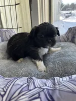 processed/7eca067b-4cdc-43b8-964e-983ae96c9384/listing/d21bf644-7061-4732-8828-702df31086c1/616fa6cc-2255-41a0-af8a-3939a75a4da4