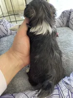 processed/7eca067b-4cdc-43b8-964e-983ae96c9384/listing/d21bf644-7061-4732-8828-702df31086c1/e997507f-3215-419b-985f-38d843f998c9