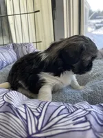 processed/7eca067b-4cdc-43b8-964e-983ae96c9384/listing/fcc0fb80-8c6e-47be-86ff-5671c54558e7/adf354a8-b1d0-4c33-ba51-f3195b098f61