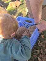 processed/7ecd25cb-507c-4bb8-b90e-d97b8307ea57/facility/0c7b5779-c38e-4fe7-b170-5295a7a65ebe