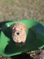 processed/7ecd25cb-507c-4bb8-b90e-d97b8307ea57/facility/39f63faf-07f7-4eca-83b4-5485fbbe41e9