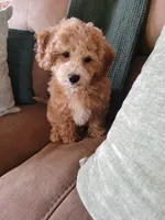 processed/7ecd25cb-507c-4bb8-b90e-d97b8307ea57/facility/525f9b72-0b0e-4318-8e59-d4f972a44cc2