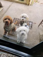 processed/7ecd25cb-507c-4bb8-b90e-d97b8307ea57/facility/59e525e4-e3d0-479e-9618-bf752333dce9