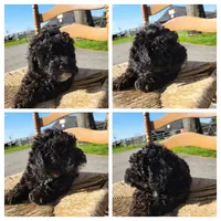 processed/7ecd25cb-507c-4bb8-b90e-d97b8307ea57/facility/7b272797-23df-4c36-ad8f-c85c4adf89cc