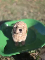 processed/7ecd25cb-507c-4bb8-b90e-d97b8307ea57/facility/a35d26f8-0684-4a66-b717-ac1b3163907c