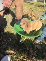 processed/7ecd25cb-507c-4bb8-b90e-d97b8307ea57/facility/b66a87b0-93f9-4dcf-a57b-1f381c1b3e9a