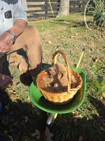 processed/7ecd25cb-507c-4bb8-b90e-d97b8307ea57/facility/c4fb1fd3-3a77-4757-b407-f89bf44b3d64