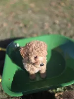 processed/7ecd25cb-507c-4bb8-b90e-d97b8307ea57/facility/cd2cb7a9-97b0-42ea-8de1-c585e42dc72f