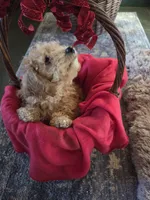 processed/7ecd25cb-507c-4bb8-b90e-d97b8307ea57/listing/d090ca3a-c082-437c-8ec6-4f1d40b9b146/596b30f7-1400-496d-893c-1f250580de17