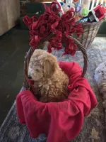 processed/7ecd25cb-507c-4bb8-b90e-d97b8307ea57/listing/d090ca3a-c082-437c-8ec6-4f1d40b9b146/6fa78caf-a945-437e-b80f-82ca7a2fff83