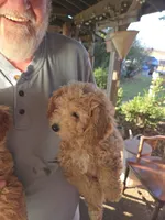 processed/7ecd25cb-507c-4bb8-b90e-d97b8307ea57/listing/d090ca3a-c082-437c-8ec6-4f1d40b9b146/e69d2f56-fd40-40f1-8978-e0822f602ed7