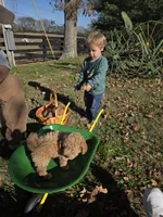 processed/7ecd25cb-507c-4bb8-b90e-d97b8307ea57/listing/d090ca3a-c082-437c-8ec6-4f1d40b9b146/edac1b06-118f-4ccb-8db8-ddf3d0d91f86