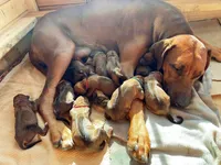 processed/7ecf0fed-76ca-4c36-bfe0-c1efe2808990/facility/1b85499a-714c-42b2-a186-ca014529db55