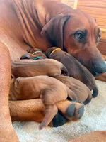 processed/7ecf0fed-76ca-4c36-bfe0-c1efe2808990/facility/580cb72c-b5aa-41da-8628-ad515bd0fb34