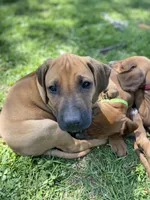 processed/7ecf0fed-76ca-4c36-bfe0-c1efe2808990/facility/708286d1-f97c-49fa-bf9c-3f8bdd5a259d