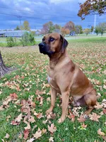 processed/7ecf0fed-76ca-4c36-bfe0-c1efe2808990/facility/70a957e7-d29d-4972-b8eb-ca3df4942078