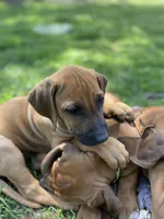 processed/7ecf0fed-76ca-4c36-bfe0-c1efe2808990/facility/c80f1590-c59a-42b6-9823-01805da1813e