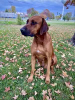 processed/7ecf0fed-76ca-4c36-bfe0-c1efe2808990/facility/c8924585-2ef6-4567-8fbc-202333a7e1eb