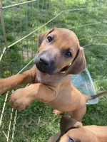 processed/7ecf0fed-76ca-4c36-bfe0-c1efe2808990/facility/e785d50b-6783-42e8-bb80-c34ab25369a9