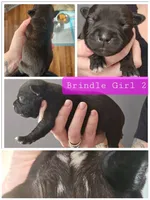 processed/7ecf9f9e-be05-4fc4-b13e-0cfc80aa9822/facility/057315a3-861d-4ced-86a1-789520dc17ef