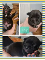 processed/7ecf9f9e-be05-4fc4-b13e-0cfc80aa9822/facility/1d08171e-7b66-4889-82a1-b2df1c177ce4