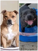 processed/7ecf9f9e-be05-4fc4-b13e-0cfc80aa9822/facility/49a3a9c2-5ca8-4904-afd6-1c4000cc12e1