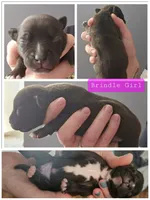 processed/7ecf9f9e-be05-4fc4-b13e-0cfc80aa9822/facility/c5881f94-dc80-4ebb-beb3-def15254c859