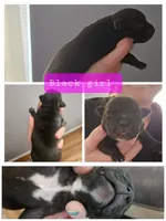 processed/7ecf9f9e-be05-4fc4-b13e-0cfc80aa9822/facility/c6a8f077-b028-42cb-a9ef-6ebac28fc08a