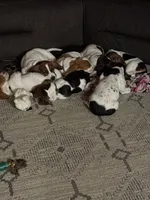 processed/7ee23fcf-494f-4a4b-b403-fecd4d073ba8/facility/069f2ada-efda-4e5a-944d-ca155c2eeda5