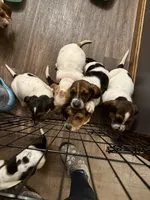 processed/7ee23fcf-494f-4a4b-b403-fecd4d073ba8/facility/12580d61-c4b6-4204-ad59-6be684048aed