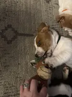 processed/7ee23fcf-494f-4a4b-b403-fecd4d073ba8/facility/5ec4f5cb-5c4f-4fc3-b8de-95e5725bce79