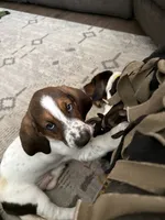 processed/7ee23fcf-494f-4a4b-b403-fecd4d073ba8/listing/311bcd9c-f62f-4298-8999-19557a6f6a54/3a26b1b3-e094-4f6d-a6c2-97e6694a4264