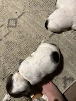 processed/7ee23fcf-494f-4a4b-b403-fecd4d073ba8/listing/311bcd9c-f62f-4298-8999-19557a6f6a54/5693f244-0c0d-48d1-953b-3248db25dbea