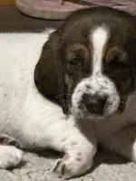 processed/7ee23fcf-494f-4a4b-b403-fecd4d073ba8/listing/311bcd9c-f62f-4298-8999-19557a6f6a54/71c5988b-2c69-4e03-a27b-5d889270c80e