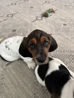 processed/7ee23fcf-494f-4a4b-b403-fecd4d073ba8/listing/d891289f-d98a-4f12-8e42-56c9ad7cfd68/0461b2f7-b90e-4d0e-9f76-cfdcdd86ee34