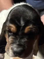 processed/7ee23fcf-494f-4a4b-b403-fecd4d073ba8/listing/d891289f-d98a-4f12-8e42-56c9ad7cfd68/4b2297e4-32eb-4f39-9b8e-6d1eb4a6cf57