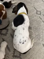 processed/7ee23fcf-494f-4a4b-b403-fecd4d073ba8/listing/d891289f-d98a-4f12-8e42-56c9ad7cfd68/aa4e89e2-ac27-4aaf-931d-85e78e6020d9