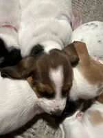 processed/7ee23fcf-494f-4a4b-b403-fecd4d073ba8/listing/ef780f48-06f7-4195-9719-acf4584e3e81/f6e9b437-195a-4e41-9cfd-c56da3d7fee6