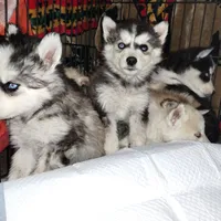 processed/7ef65416-babc-44bc-a972-572382296252/facility/10d60b4d-bb6b-44c4-af54-c7f50933f0a9